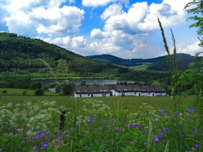 Spacious Apartment in Niedersfeld near Ski Area